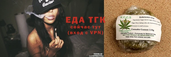 прущие грибы Тихвин