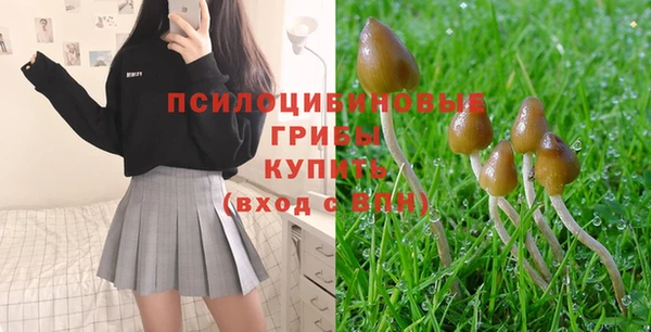 метадон Лиски